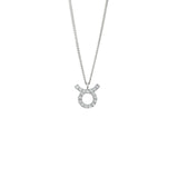Zodiac Necklace Silver