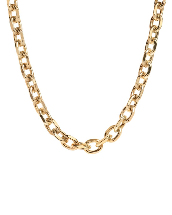 Chain Necklace Large Gold i gruppen Shop / Halskjeder hos ANI (ANI-0623-001)