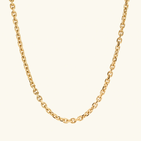 Chain Necklace Small Gold i gruppen Shop / Halskjeder hos ANI (ANI-0623-003)