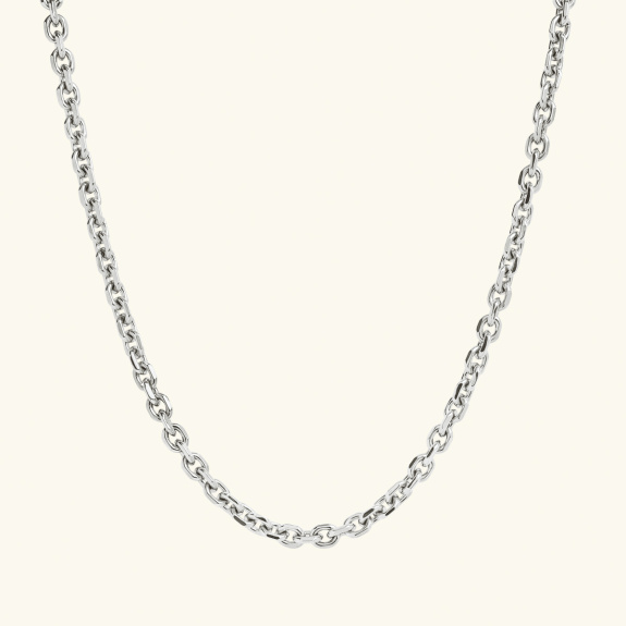 Chain Necklace Small Silver i gruppen Shop / Halskjeder hos ANI (ANI-0623-004)