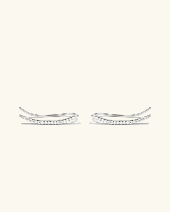 Ear Crawler Silver - Pair i gruppen Shop / Øredobber hos ANI (ANI_SET_019)