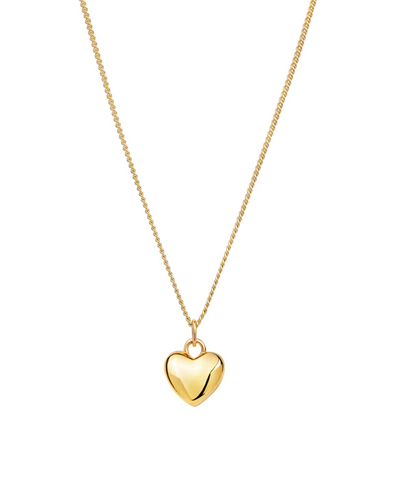 Heart Necklace Gold i gruppen Shop / Halskjeder hos ANI (ANI_SET_050)