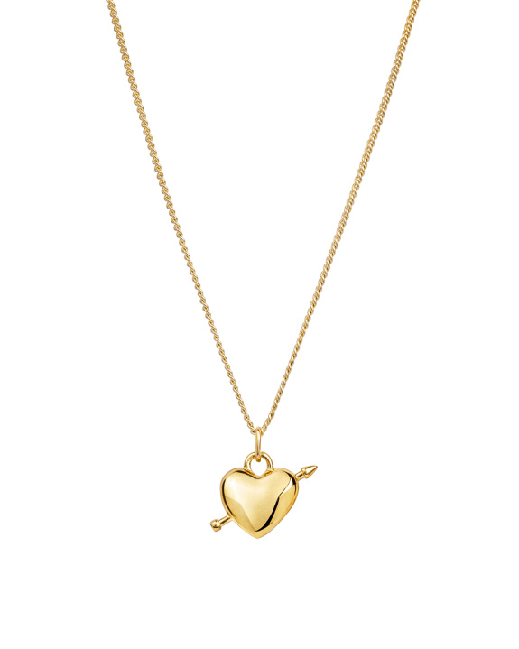 Heart Arrow Necklace Gold i gruppen Shop / Halskjeder hos ANI (ANI_SET_056)