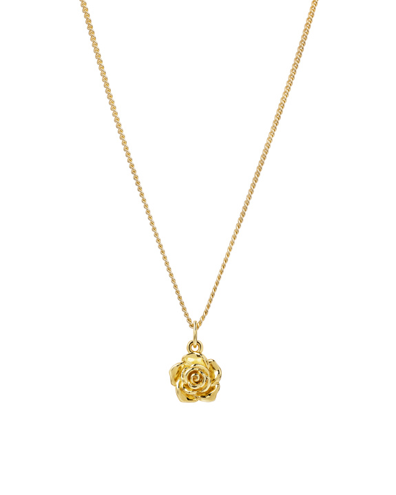 Rose Necklace Gold i gruppen Shop / Halskjeder hos ANI (ANI_SET_063)