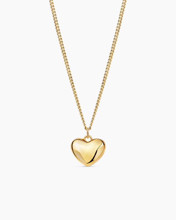 Heart Pendant Necklace Gold i gruppen Shop / Halskjeder hos ANI (ANI_SET_080)