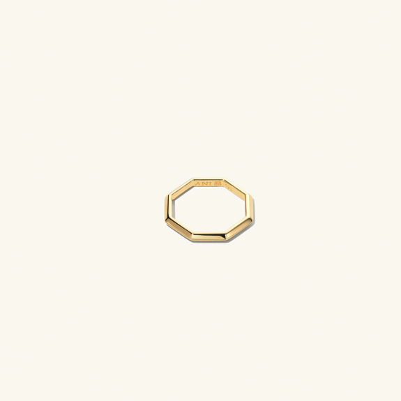 Triangle Octagon Ring Gold i gruppen Shop / Ringer hos ANI (ANI_VA_023)