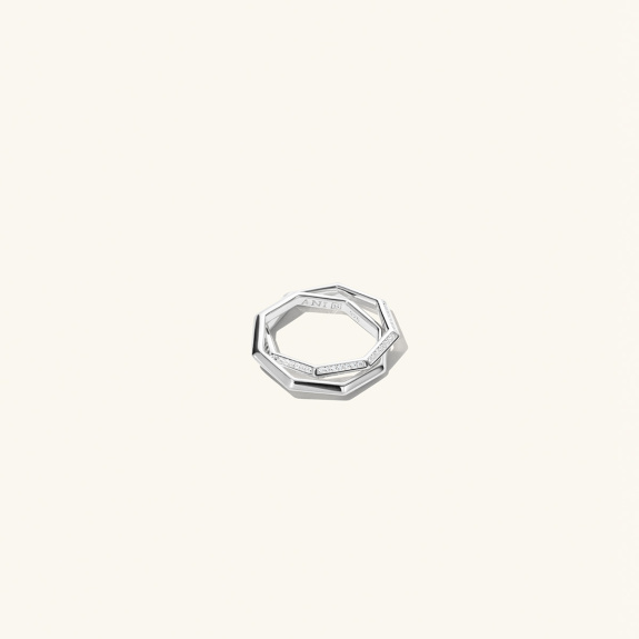 Double Octagon Ring Silver i gruppen Shop / Ringer hos ANI (ANI_VA_032)
