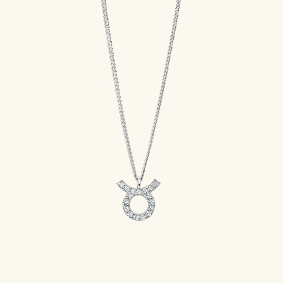 Zodiac Necklace Silver i gruppen Shop / Halskjeder hos ANI (ANI_VA_037)
