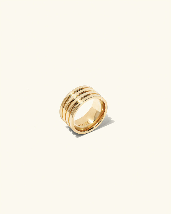 Nezza Ring Gold i gruppen Shop / Ringer hos ANI (ANI_VA_072)