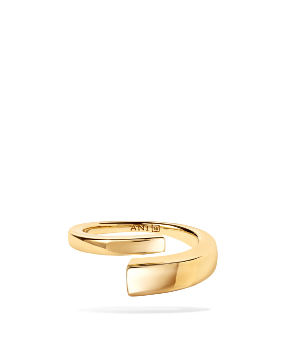 Pen Ring Gold i gruppen Shop / Ringer hos ANI (ANI_VA_090)