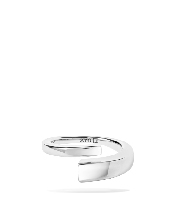 Pen Ring Silver i gruppen Shop / Ringer hos ANI (ANI_VA_091)