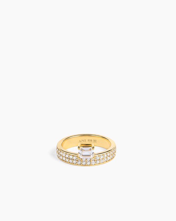 Double Sopra Pavé Ring Gold i gruppen Shop / Ringer hos ANI (ANI_VA_098)