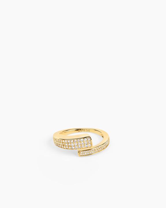 Pen Pavé Ring Gold i gruppen Shop / Ringer hos ANI (ANI_VA_110)
